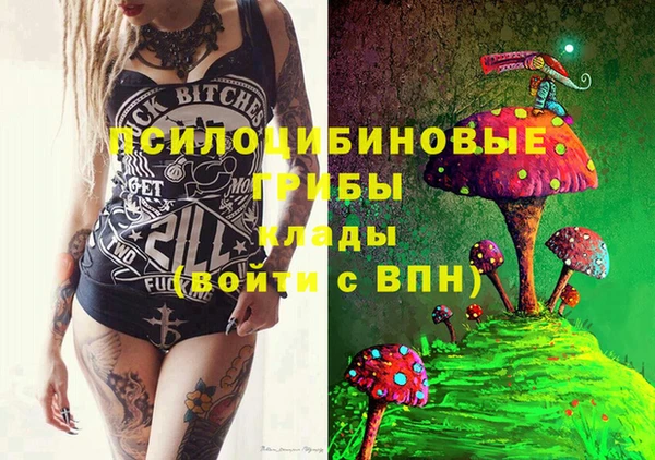 тгк Нефтекумск