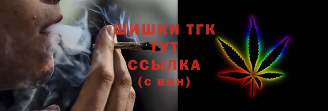 СК Новозыбков