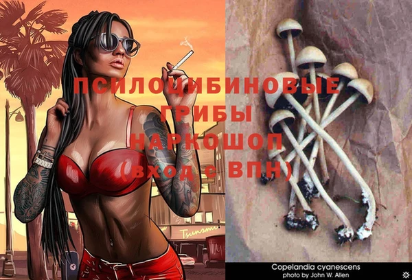 тгк Нефтекумск