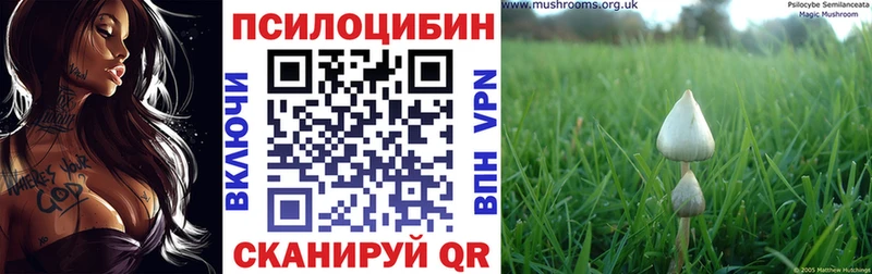 Галлюциногенные грибы прущие грибы  Партизанск 