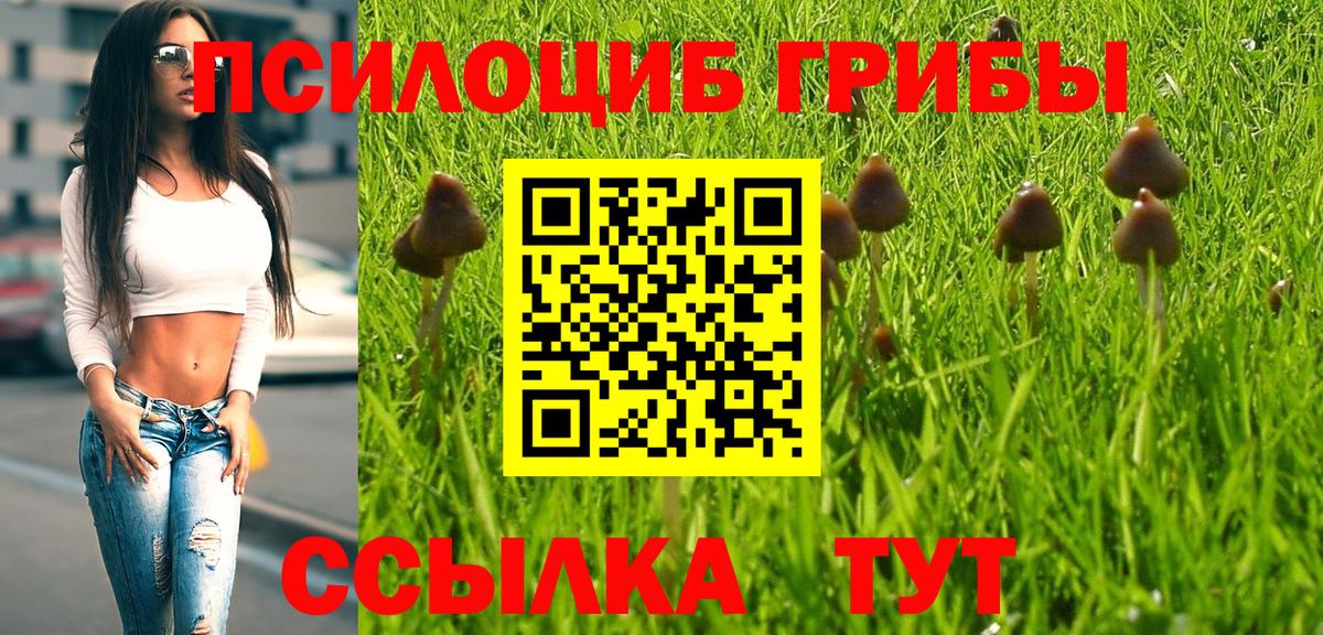 Псилоцибиновые грибы мицелий Партизанск